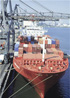 Schiff